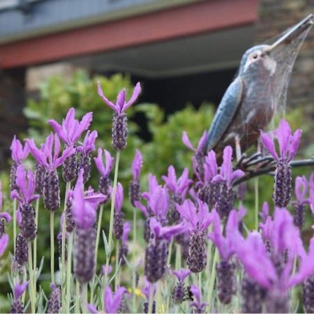 Maymorn Orchard Suites Upper Hutt Exterior foto