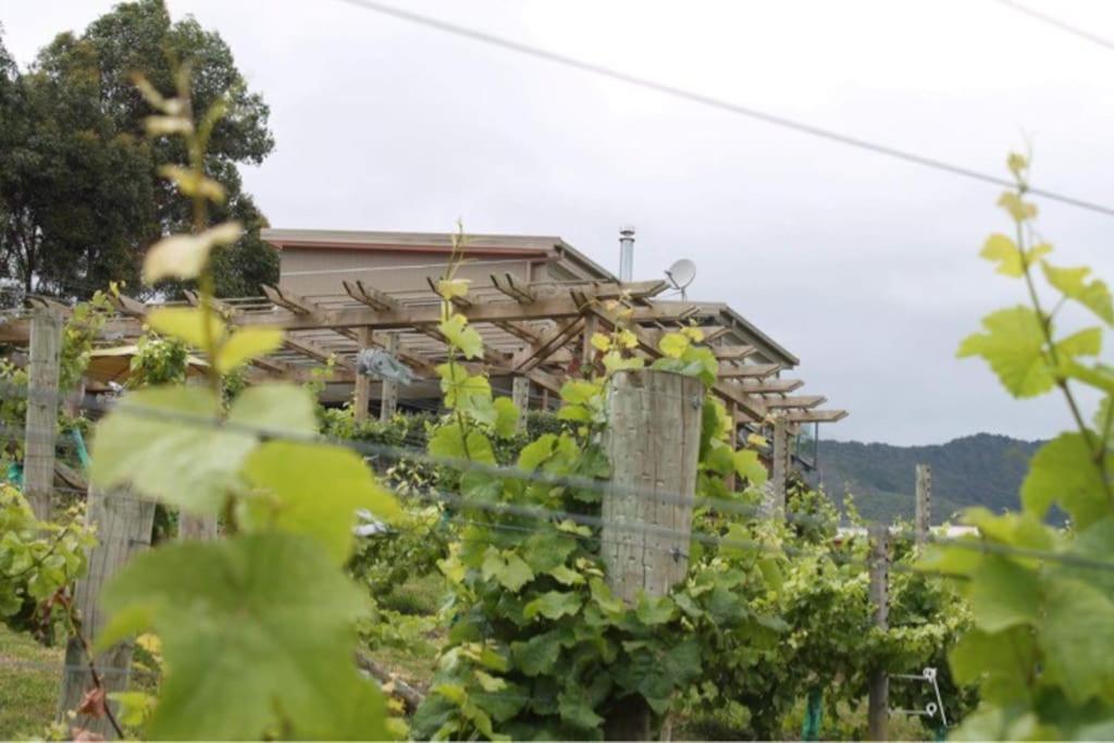 Maymorn Orchard Suites Upper Hutt Exterior foto