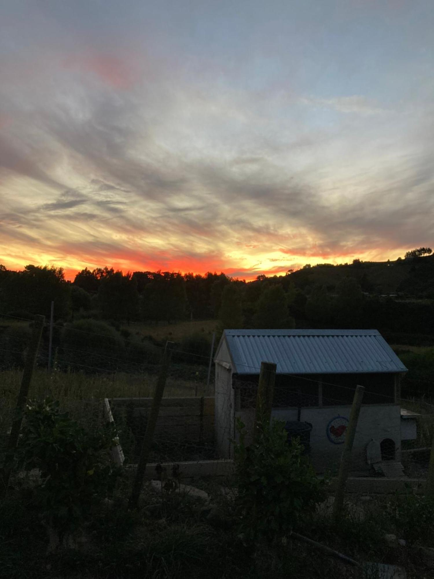 Maymorn Orchard Suites Upper Hutt Exterior foto